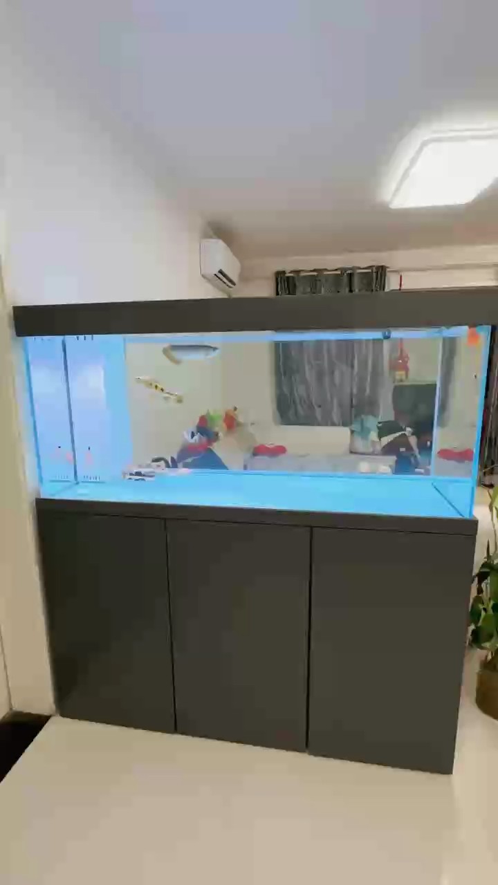 開缸入魚了