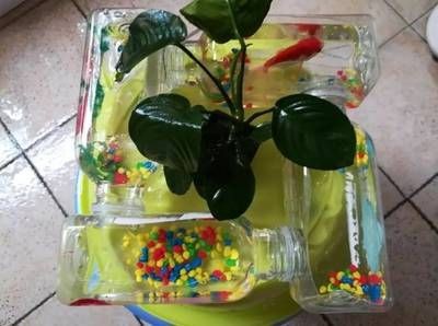 大塑料瓶diy魚缸制作：塑料瓶diy魚缸制作方法 大塑料瓶diy魚缸制作：塑料瓶diy魚缸制作方法 魚缸百科 第3張