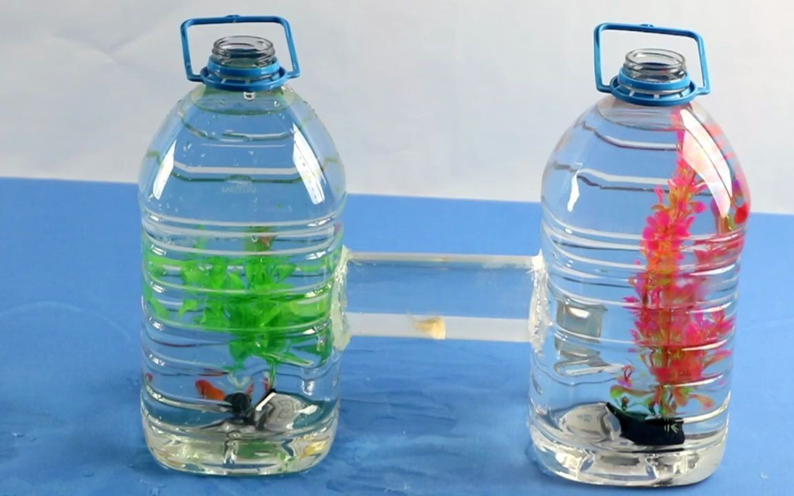 大塑料瓶diy魚缸制作：塑料瓶diy魚缸制作方法 大塑料瓶diy魚缸制作：塑料瓶diy魚缸制作方法 魚缸百科 第4張