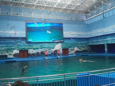 貴陽(yáng)水族館vs祥龍魚場(chǎng)（貴陽(yáng)南明海源濤水族館）