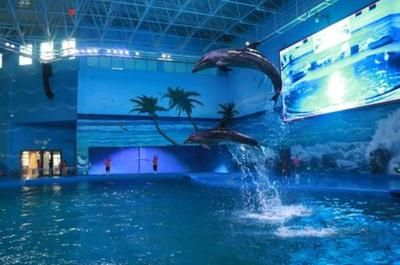 貴陽(yáng)水族館vs祥龍魚場(chǎng)（貴陽(yáng)南明海源濤水族館）