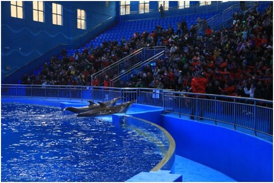 貴陽水族館vs祥龍魚場（貴陽南明海源濤水族館）