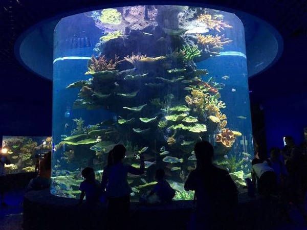 貴陽水族館vs祥龍魚場（貴陽南明海源濤水族館）