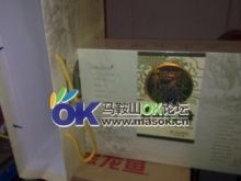 馬鞍山龍魚vs祥龍魚場（馬鞍山龍魚市場與祥龍魚場各有優勢）