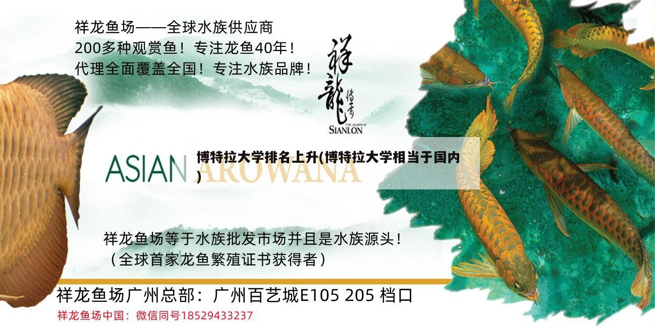 博特拉大學排名上升(博特拉大學相當于國內)