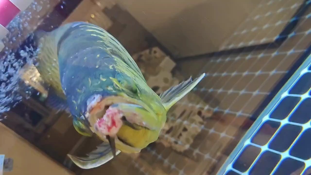 請教