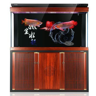 紅龍魚 白子過背金龍魚圖片(白子招財(cái)龍魚圖片) 金龍魚百科 白子過背金龍魚圖片(白子招財(cái)龍魚圖片) 白子過背金龍魚圖片(白子招財(cái)龍魚圖片) 金龍魚百科