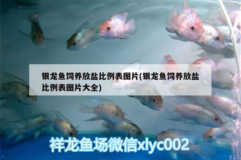 銀龍魚飼養放鹽比例表圖片(銀龍魚飼養放鹽比例表圖片大全)
