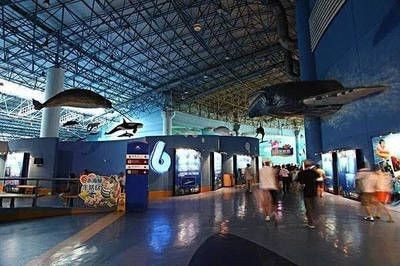 阿克蘇水族館vs祥龍魚場（中國新疆阿克蘇水族館阿克蘇水族館和祥龍魚場的選擇）