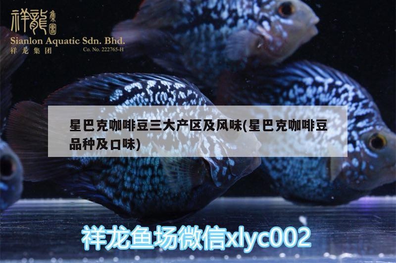 星巴克咖啡豆三大產(chǎn)區(qū)及風(fēng)味(星巴克咖啡豆品種及口味)