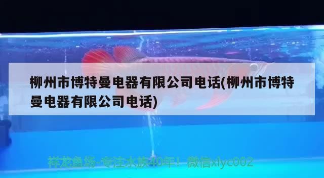 鸚鵡魚和銀龍魚混養怎樣喂食 柳州市博特曼電器有限公司電話(柳州市博特曼電器有限公司電話) 博特水族 柳州市博特曼電器有限公司電話(柳州市博特曼電器有限公司電話) 柳州市博特曼電器有限公司電話(柳州市博特曼電器有限公司電話) 博特水族
