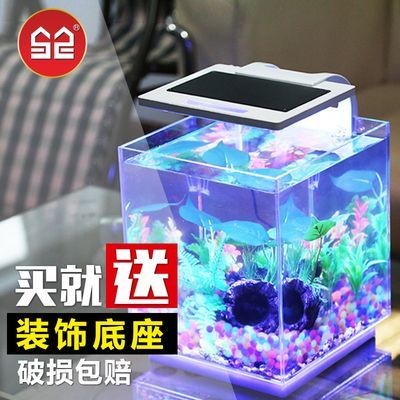 渭南水族批發市場地址在哪里渭南水族批發市場地址在哪里，南水族批發市場地址在哪里 渭南水族批發市場地址在哪里渭南水族批發市場地址在哪里，南水族批發市場地址在哪里 觀賞魚百科 第2張