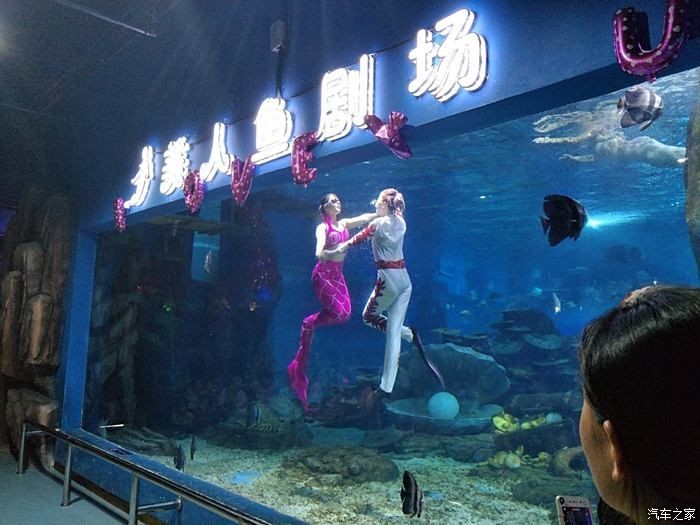 臨沂水族館vs祥龍魚場（臨沂水族館與祥龍魚場各有側(cè)重）