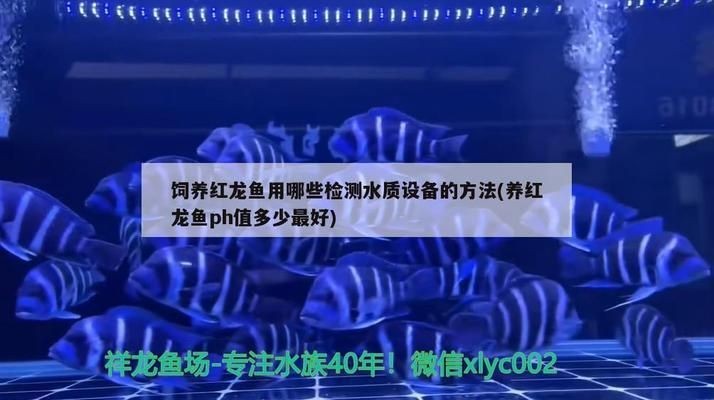 龍魚缸ph多少合適vs祥龍魚場：第28屆中國國際寵物水族展覽會cips(2024長城寵物展