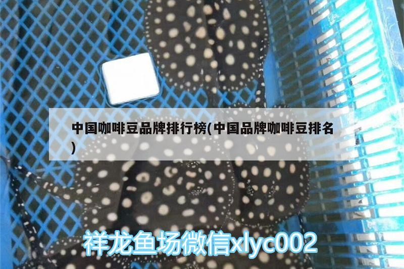 中國咖啡豆品牌排行榜(中國品牌咖啡豆排名) 中國咖啡豆品牌排行榜(中國品牌咖啡豆排名) 馬來西亞咖啡