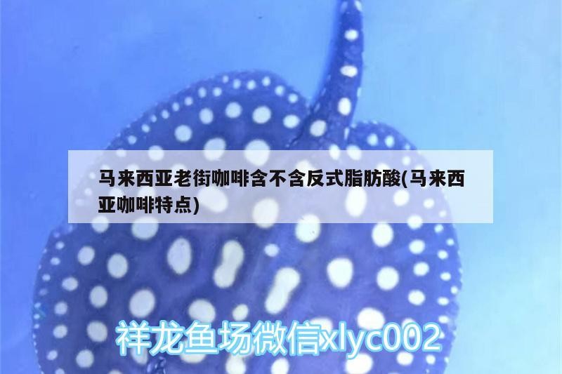 馬來西亞老街咖啡含不含反式脂肪酸(馬來西亞咖啡特點)