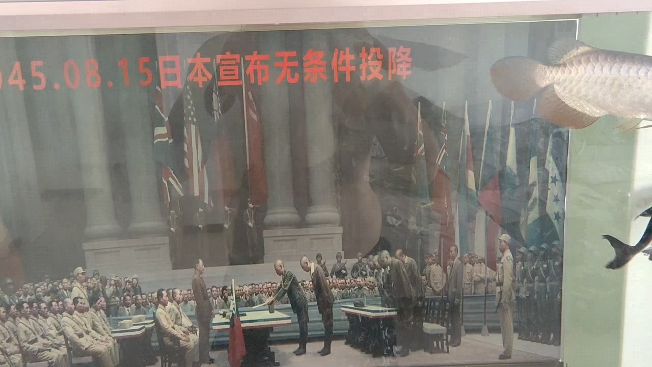 小小金龍