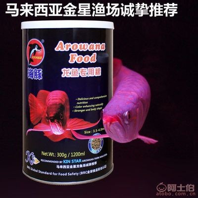 紅龍魚哪里買的到：如何購買紅龍魚 紅龍魚哪里買的到：如何購買紅龍魚 紅龍魚百科 第3張