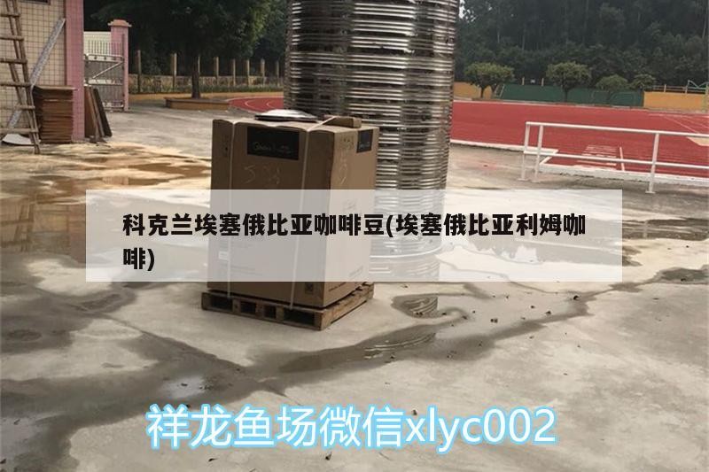 科克蘭埃塞俄比亞咖啡豆(埃塞俄比亞利姆咖啡) 科克蘭埃塞俄比亞咖啡豆(埃塞俄比亞利姆咖啡) 馬來西亞咖啡