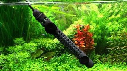 超市有賣魚缸加熱棒的嗎安全嗎：如何選擇合適的魚缸加熱棒？ 超市有賣魚缸加熱棒的嗎安全嗎：如何選擇合適的魚缸加熱棒？ 魚缸百科 第3張