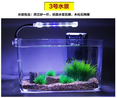 大圓魚缸適合養水培植物:大圓魚缸適合養什么水培植物?