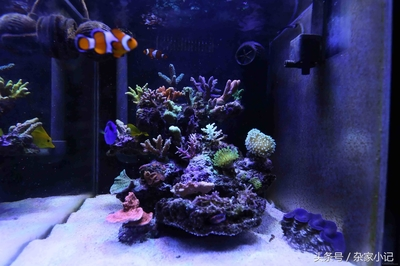 創寧變頻水泵一代跟的二代區別圖片對比（創寧變頻水泵一代跟的二代區別圖片對比）