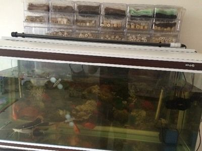 1米2的魚缸需要多大的下濾盒：1米2的魚缸需要多大的下濾盒，從以下方面進行考慮
