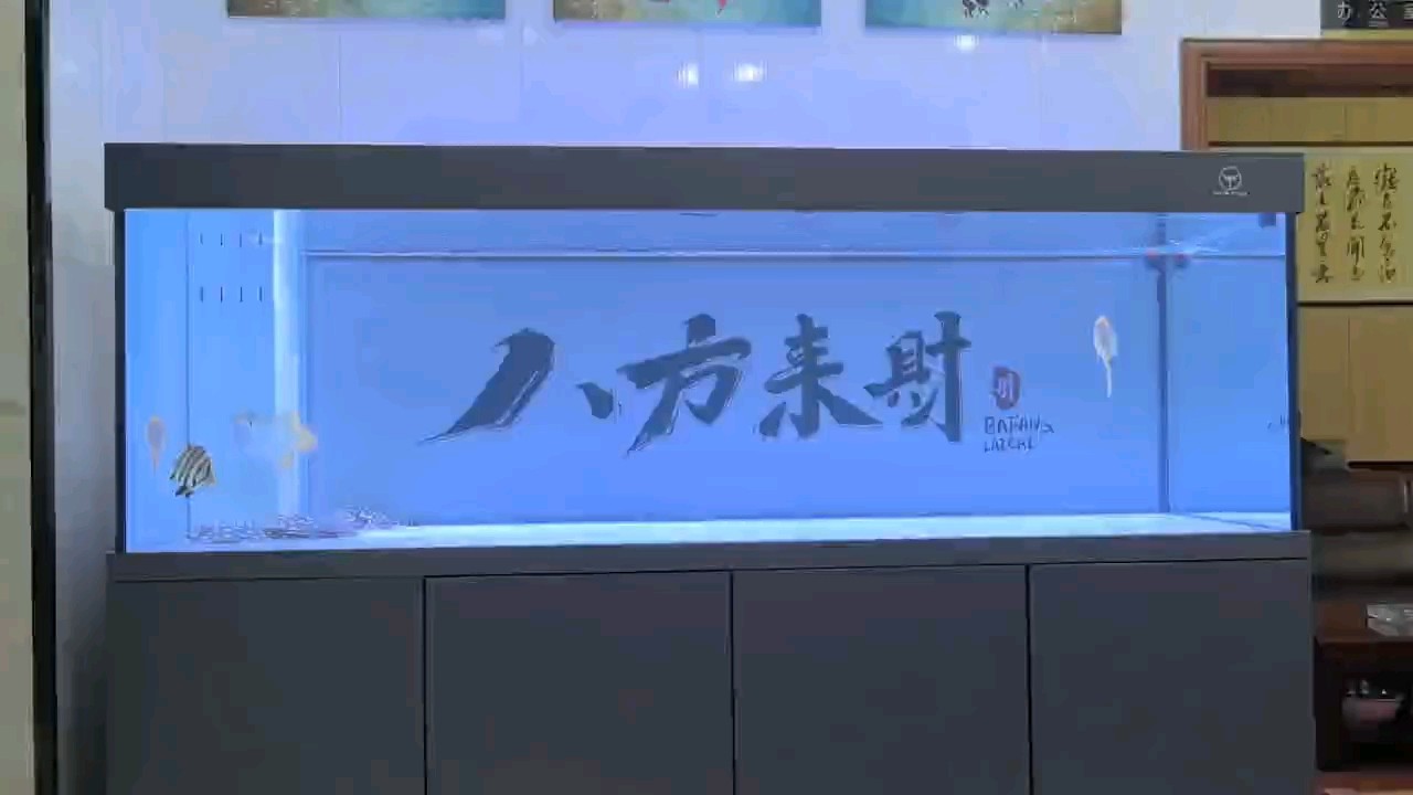 慢慢起狀態 慢慢起狀態 龍魚論壇