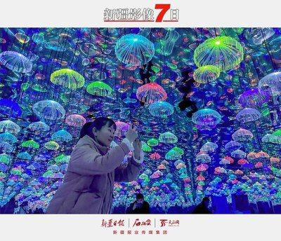 博爾塔拉蒙古自治州水族館vs祥龍魚場（博爾塔拉蒙古自治州水族館）