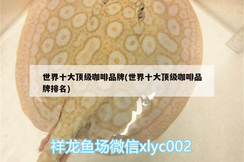 世界十大頂級咖啡品牌(世界十大頂級咖啡品牌排名) 世界十大頂級咖啡品牌(世界十大頂級咖啡品牌排名) 馬來西亞咖啡
