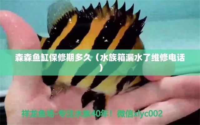 朔州市朔城區金龍宮水族漁具（朔州市朔城區金龍宮水族漁具店）