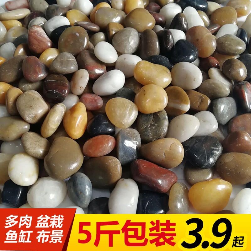 鵝卵石魚缸布景：如何diy鵝卵石魚缸布景？