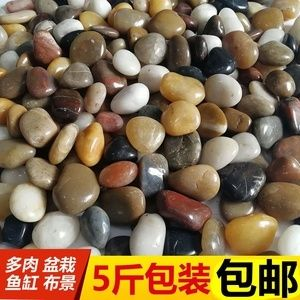 鵝卵石魚缸布景：如何diy鵝卵石魚缸布景？