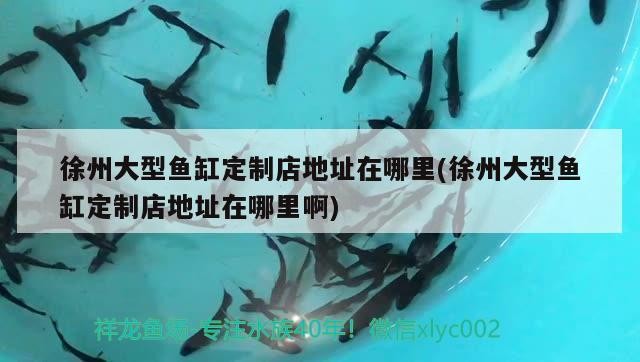 徐州大型魚缸定制店地址在哪里(徐州大型魚缸定制店地址在哪里啊)