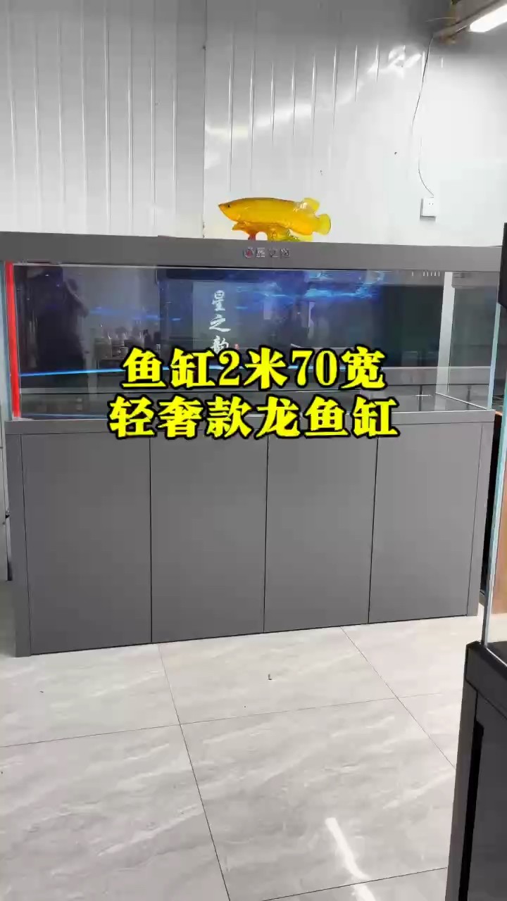 魚缸2米70寬輕奢款款魚缸、超白魚缸、龍