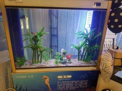 武安市杜莊市場吳烜水族花卉門市（武安花卉市場地址） 武安市杜莊市場吳烜水族花卉門市（武安花卉市場地址） 全國水族館企業名錄 第2張