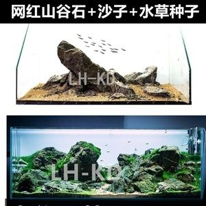 60厘米魚缸造景無底砂圖片及價格：60厘米魚缸造景價格是多少？ 60厘米魚缸造景無底砂圖片及價格：60厘米魚缸造景價格是多少？ 魚缸百科 第3張