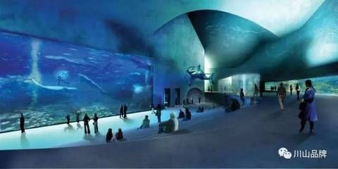 慶陽水族館vs祥龍魚場（慶陽水族館與祥龍魚場的區(qū)別） 慶陽水族館vs祥龍魚場（慶陽水族館與祥龍魚場的區(qū)別） 全國水族館企業(yè)名錄 第5張