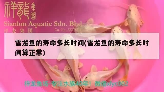 雷龍魚能活多長時間壽命，關于雷龍魚壽命的一些詳細信息