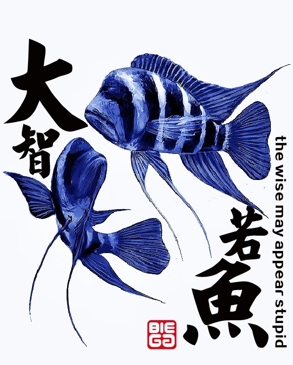 大智若愚