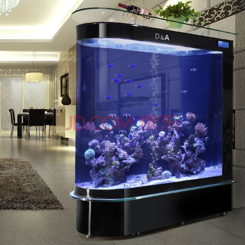 40l的魚缸有多大：40l的魚缸尺寸怎么算？