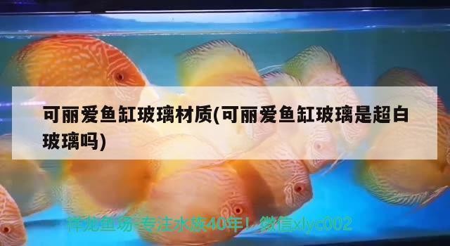綠園區(qū)大自然花鳥(niǎo)魚(yú)商場(chǎng)天賚水族器材店（綠園區(qū)大自然花鳥(niǎo)市場(chǎng)）