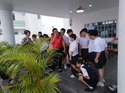惠州龍魚vs祥龍魚場（惠州龍魚與祥龍魚場之間的關系）