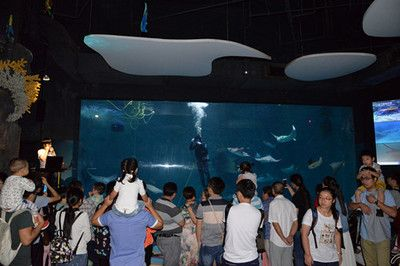 上海水族館vs祥龍魚(yú)場(chǎng)（上海水族館和祥龍魚(yú)場(chǎng)各有特色）