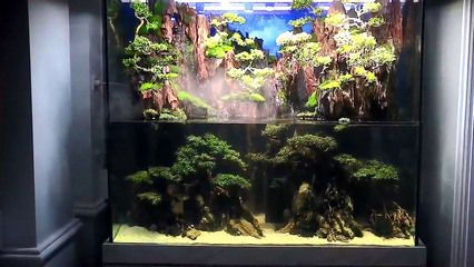 30厘米魚缸造景效果圖：30厘米的魚缸造景效果圖 30厘米魚缸造景效果圖：30厘米的魚缸造景效果圖 魚缸百科 第1張
