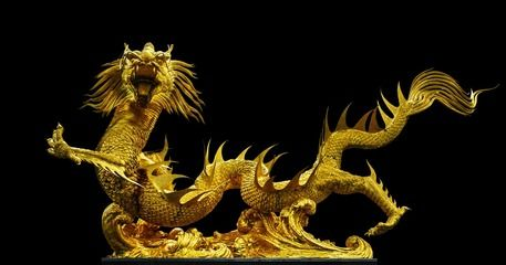 紅龍魚神經質：紅龍魚的神經質行為