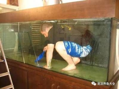 大型魚缸清理水垢：如何清洗大型魚缸水垢？