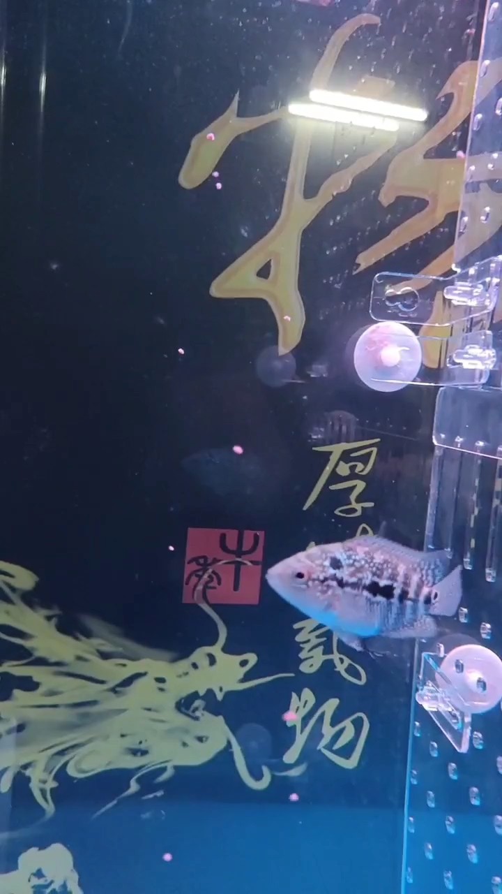 小時候的我是那么的妙小[huaixiao][huaixiao]
