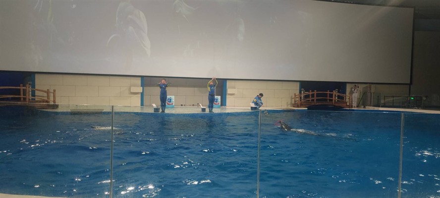 日照水族館vs祥龍魚場（日照水族館與祥龍魚場各有側重）