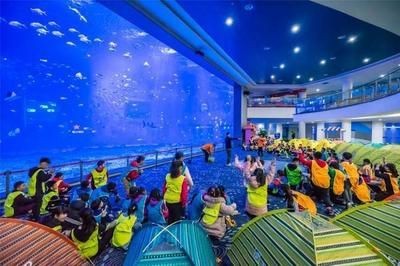 日照水族館vs祥龍魚場（日照水族館與祥龍魚場各有側重）